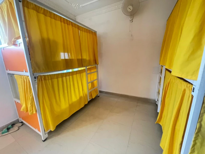 Bed in 4 Bed Mixed Dormitory Room with Ensuite Bathroom 1