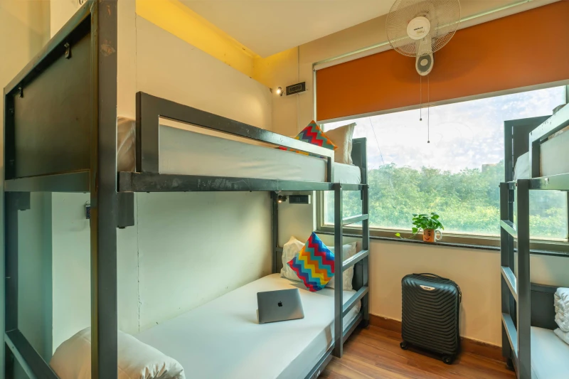 Bed in 6 Bed Mixed AC Dormitory Room with Ensuite Bathroom 5